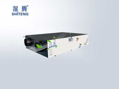 濕騰新風凈化機組