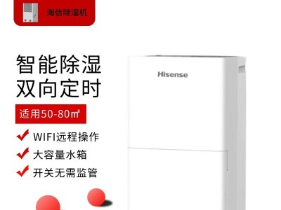海信除濕機(jī)CF50BD/P CF603BD/PW家用地下室大除濕量50L/60L天